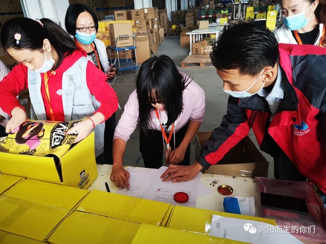 青年志愿者公益实践