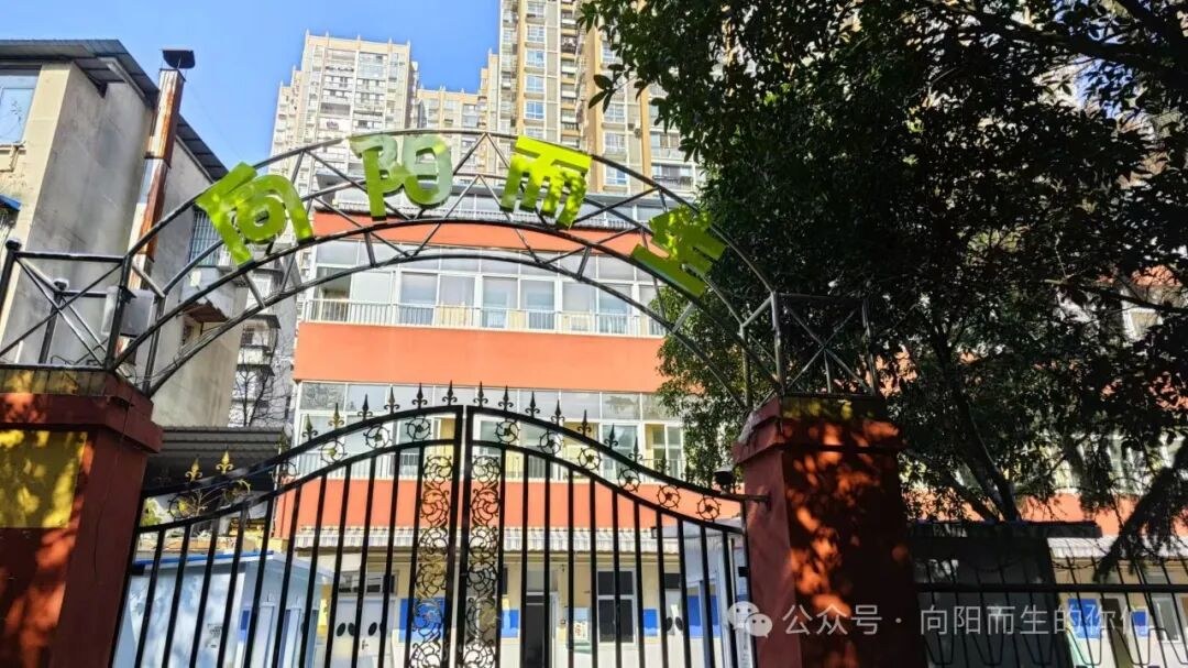 向阳而生实训基地外景