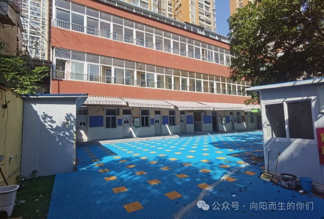 向阳而生实训基地院内环境